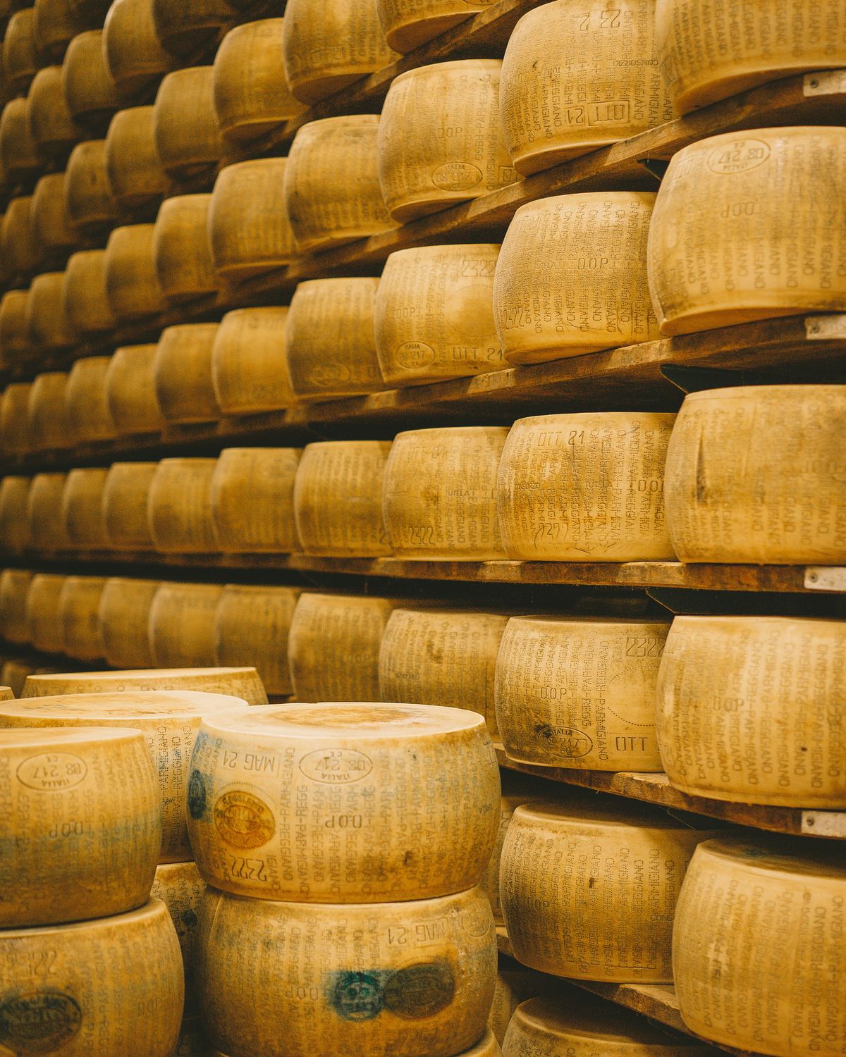 Gereifte Laibe Parmigiano Reggiano im Lager
